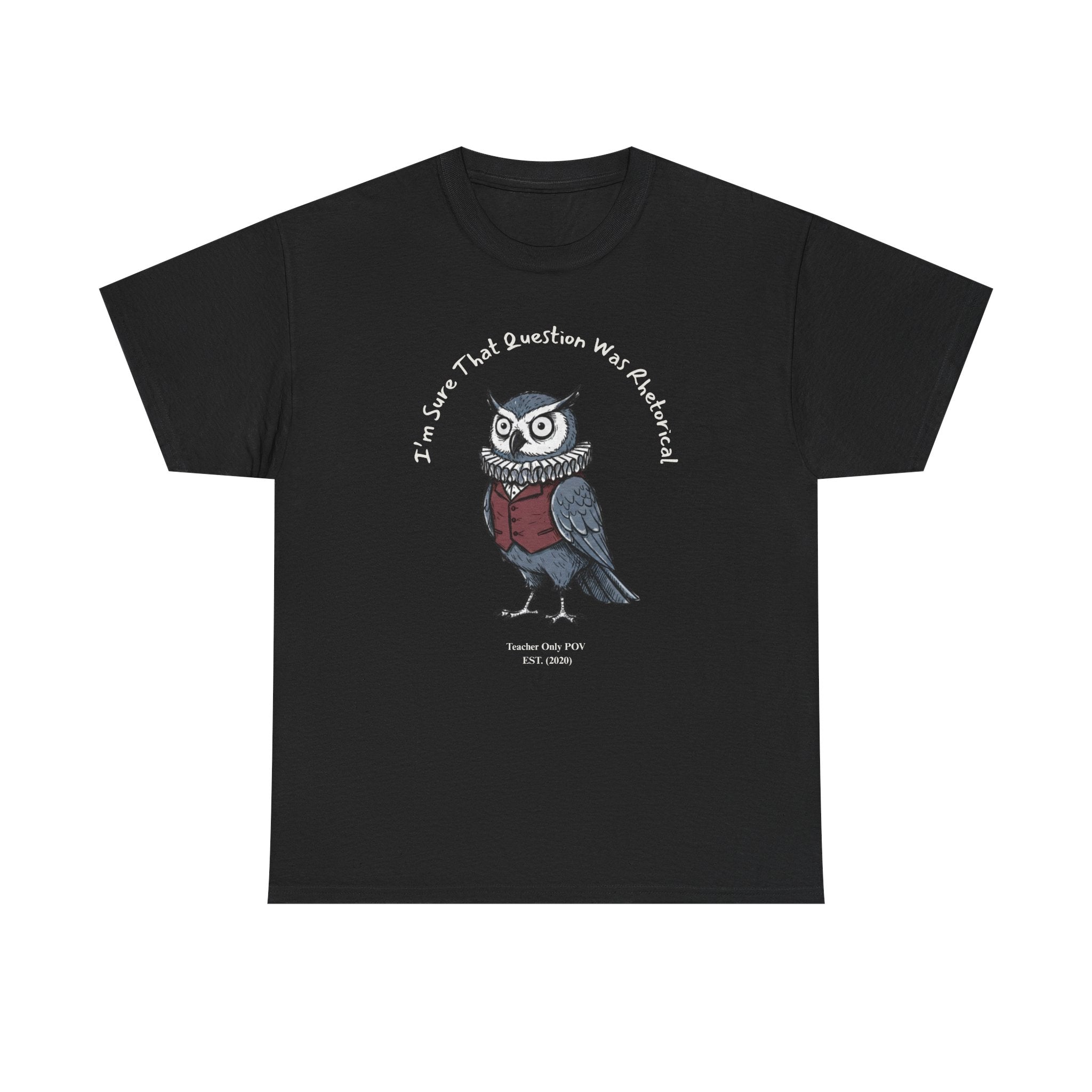 Funny Teacher Owl | Professional POV Collection | Sarcastic Classroom Humor | Custom Year Tee