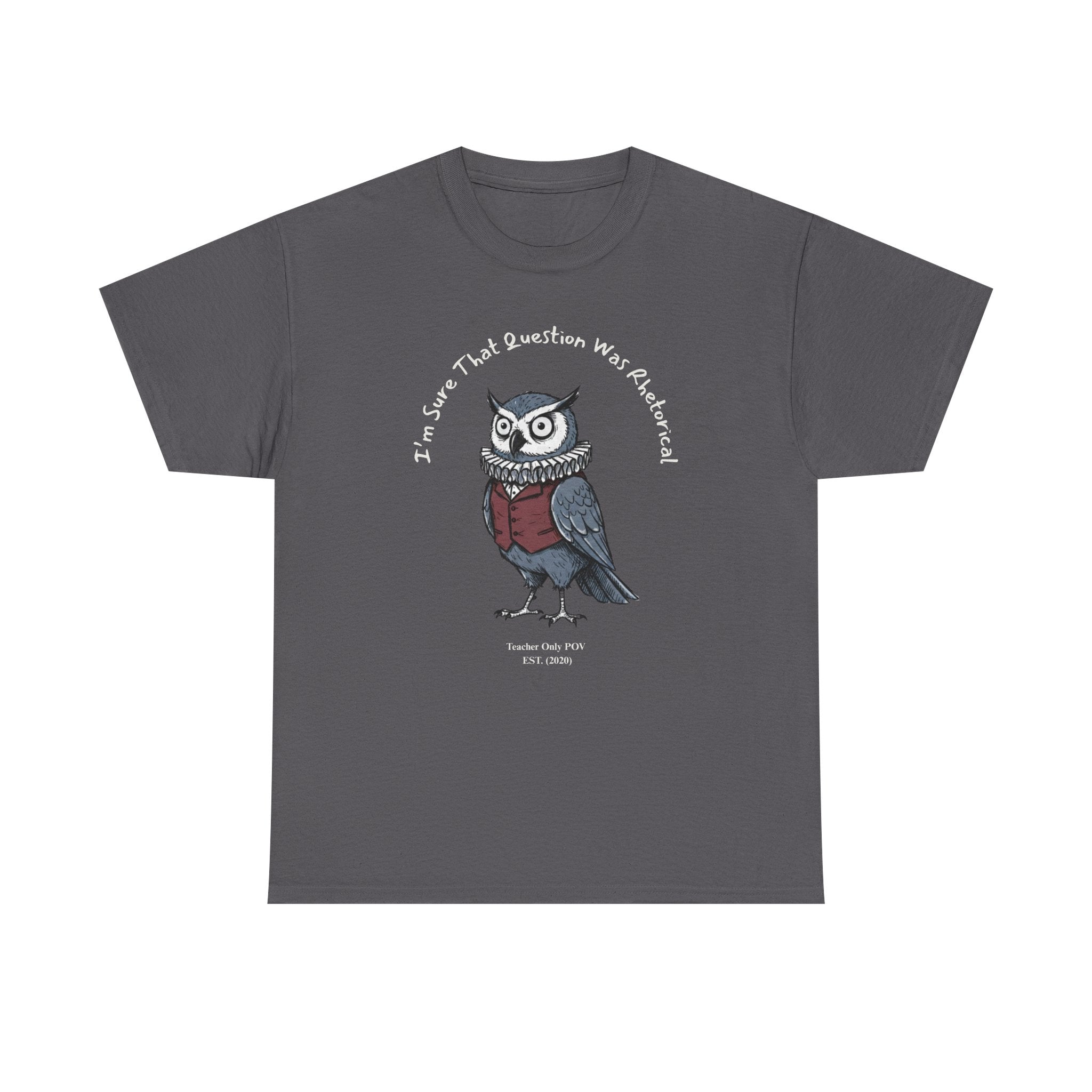 Funny Teacher Owl | Professional POV Collection | Sarcastic Classroom Humor | Custom Year Tee