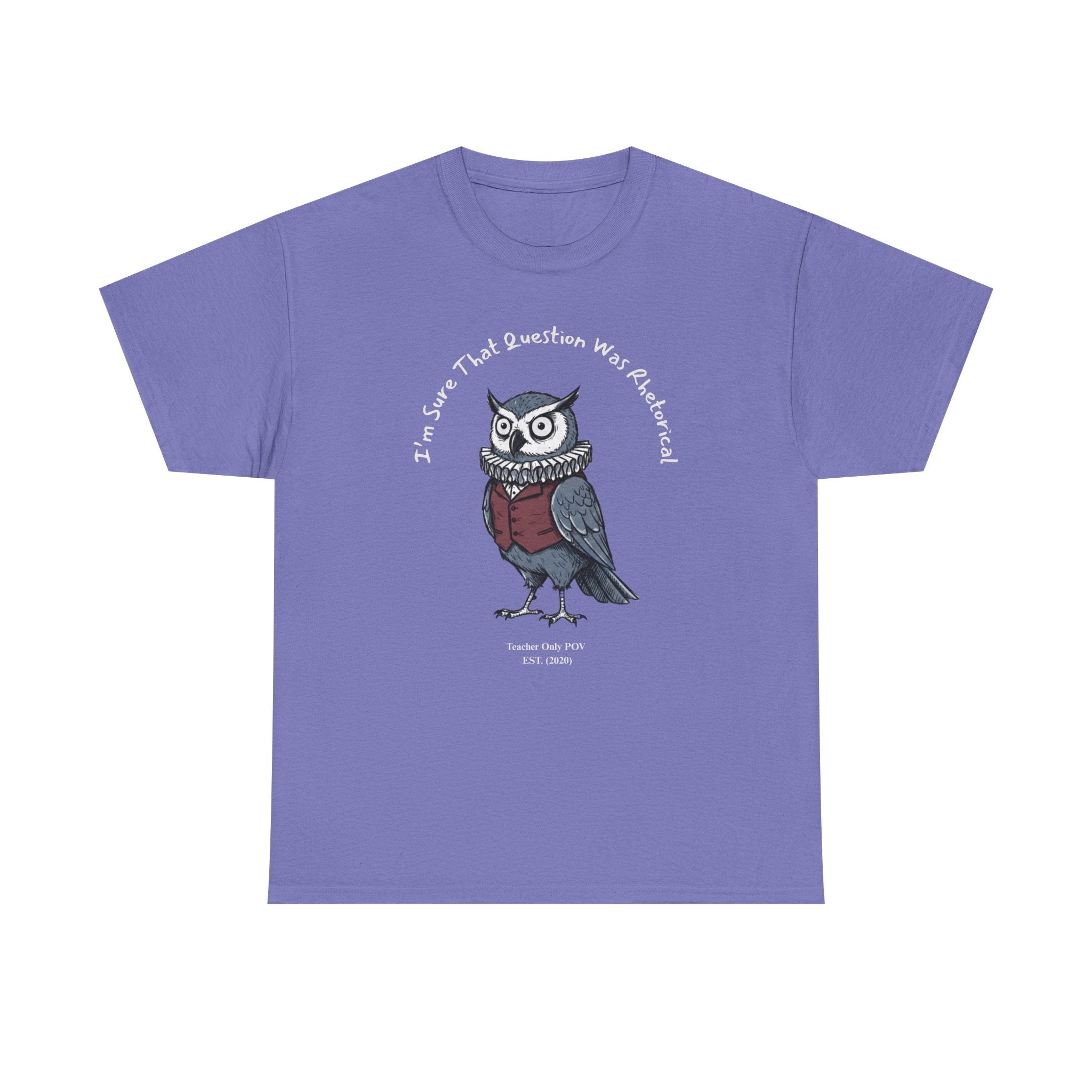 Funny Teacher Owl | Professional POV Collection | Sarcastic Classroom Humor | Custom Year Tee