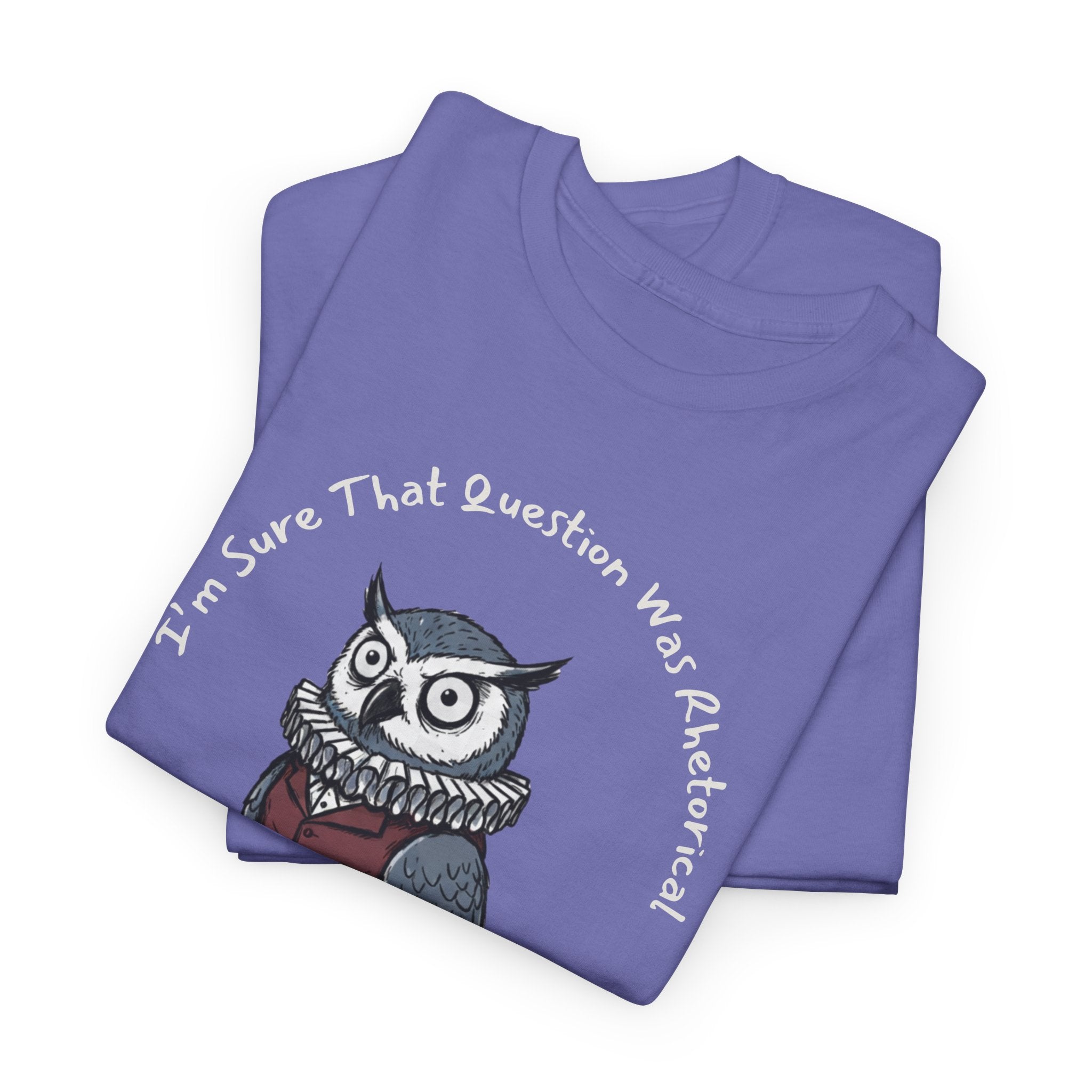 Funny Teacher Owl | Professional POV Collection | Sarcastic Classroom Humor | Custom Year Tee