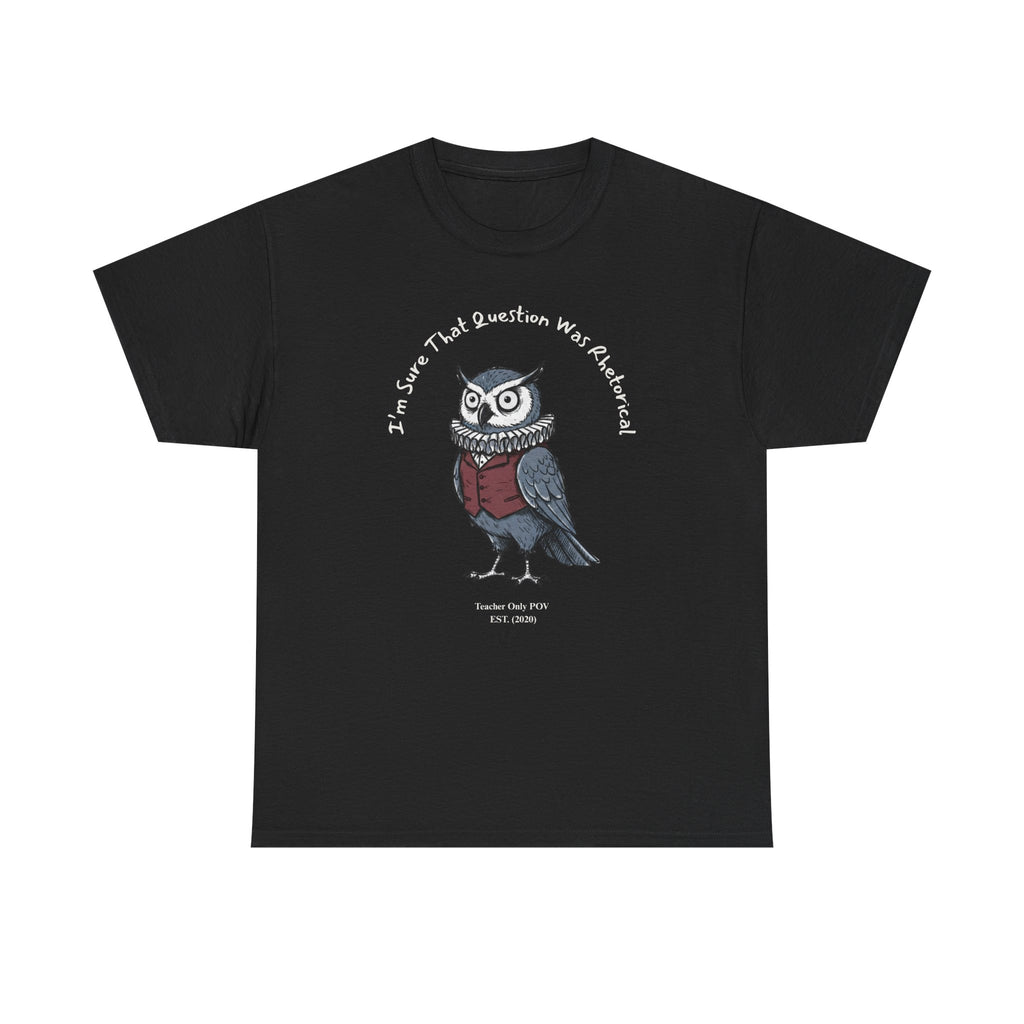 Funny Teacher Owl | Professional POV Collection | Sarcastic Classroom Humor | Custom Year Tee