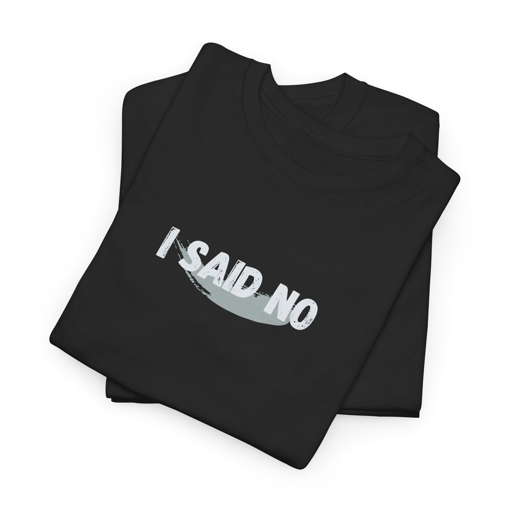 Funny sarcasm t-shirt for women when all you can get out is I said no with a Custom sleeve with the YEAR you found your voice